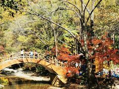 -关门山森林公园