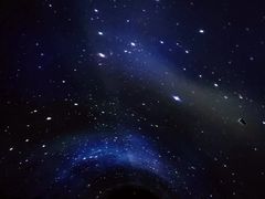 -大连圣亚海洋世界