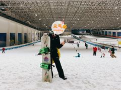 -绍兴启迪乔波冰雪世界