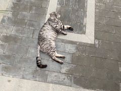 -老北京风情街