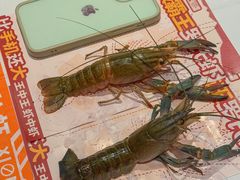 -熊记虾王·小龙虾(东晓南店)