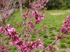 -昆山城市生态森林公园