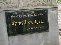 -紫荆山公园