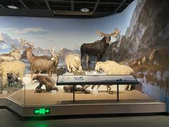 -陕西自然博物馆