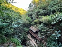 -莫干山风景区