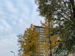 -浮何烤铺(桐梓林店)