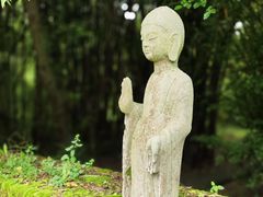 -鹿野苑石刻艺术博物馆