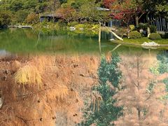 -云溪植物园