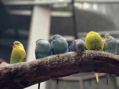 -正佳雨林生态植物园