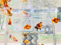 -石家庄市动物园