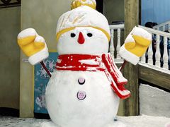 -广州热雪奇迹