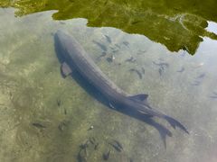 景点-宝墨园景区