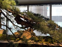 -新荣记(建国门外大街店)