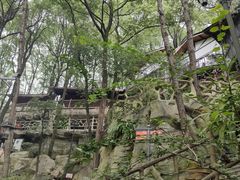 -巴倒烫陆派重庆火锅(南山店)