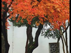 -拙政园