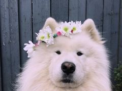 -Apple零售店(成都太古里店)