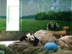 -临沂动植物园