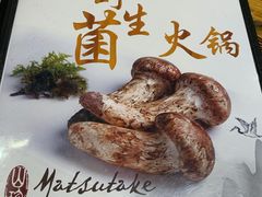 -菌之家·专业纯野生菌火锅·特色炒菌