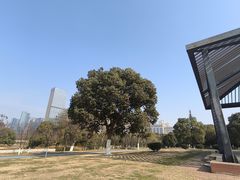 -艾溪湖湿地公园