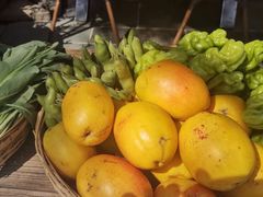 -缘生态云南菜·野生菌庭院餐厅(华侨城店)