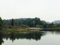 -南国桃园旅游度假区