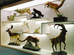 -国家自然博物馆