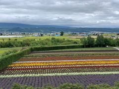 -富田农场