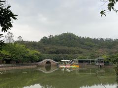 -大雁山风景区