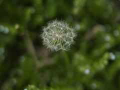 -北运河水利风景区
