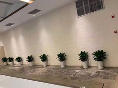 -DBSWIM深呼吸国际游泳培训(建国宾馆店)