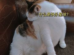 -黑胶星球(华发中城商都店)