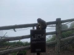 -峨眉山风景名胜区