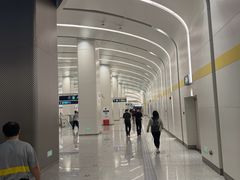 -望京西(地铁站)