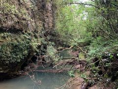 -怀托摩萤火虫洞