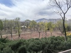 -滨河世纪广场公园