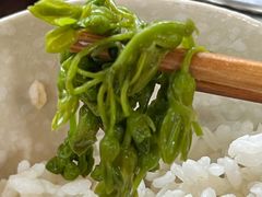 水豆豉拌夜兰花-夜郎谷生态园