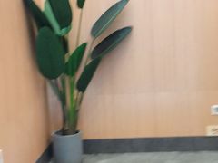 -醉得意·家常菜(二七路店)