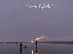 -南汇新城海滩
