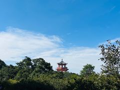 -梧桐山风景名胜区