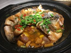 -滇铺子·云南特色菜·第九届野生菌美食节(曲靖万达店)