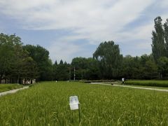 -北坞公园