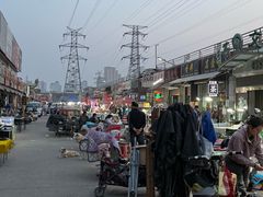 -中环花鸟鱼虫市场
