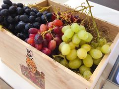 -歎雪糕低糖低脂Gelato冰淇淋