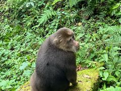 -西岭雪山大飞水景区