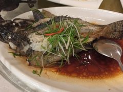 清蒸龙胆鱼-华兴大酒楼(亿宝大厦店)