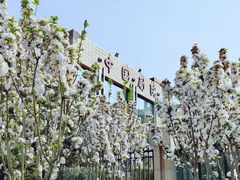 -元大都城垣遗址公园