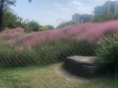 -牛岗山公园