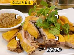 白切鸭-龙记烤鸭店(新民路店)