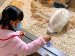 -昆明大悦城未来动物城(螺蛳湾中心店)