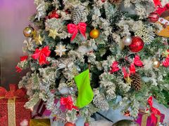 -广州富力君悦大酒店·凯菲厅